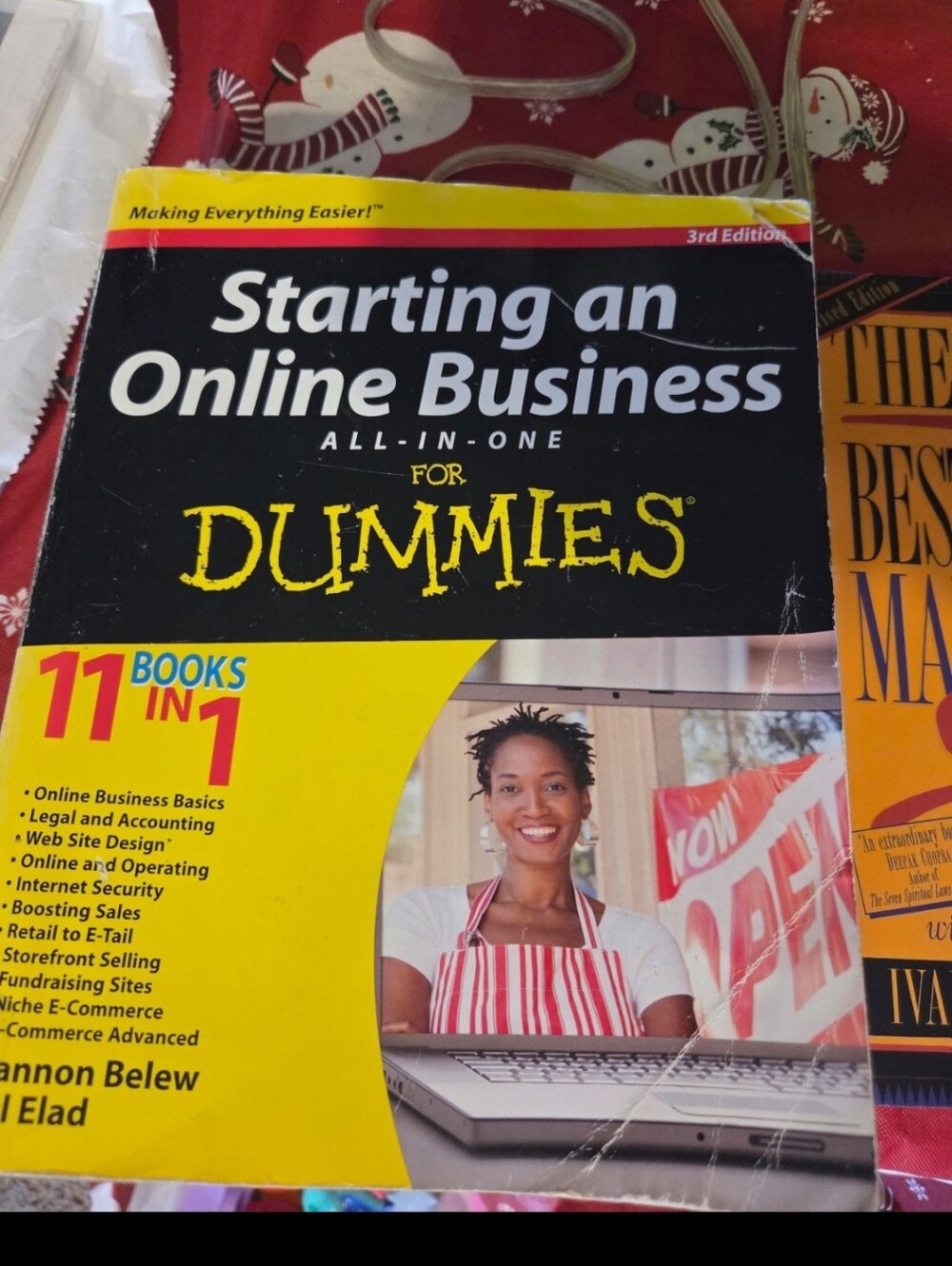 Starting An Online Business For Dummies Book